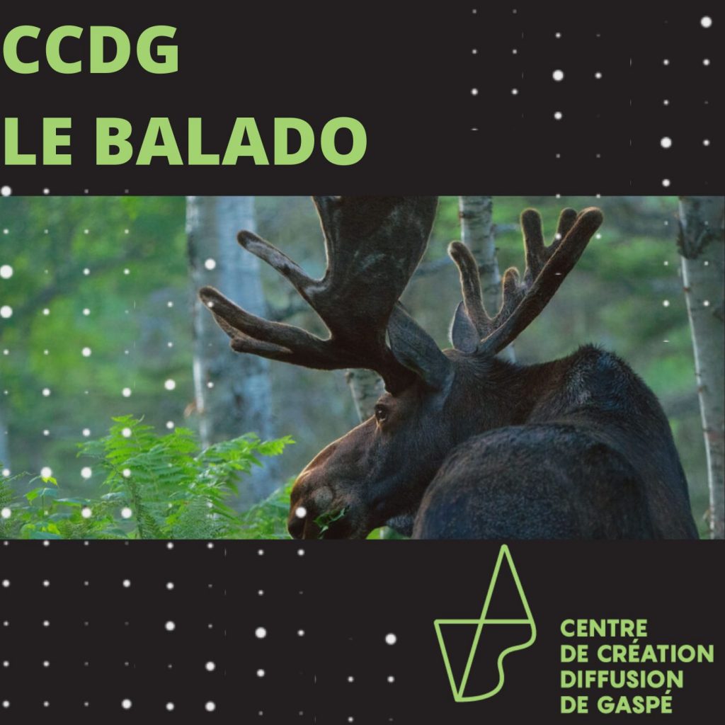 Le Centre de Création Diffusion de Gaspé continue d’étendre son empreinte numérique en lançant aujourd’hui CCDG le balado, qui agit comme courroie de transmission entre les musiciens – établis ou futures stars – d’ici et les amoureux des arts gaspésiens et d’ailleurs. Le premier épisode est disponible dès aujourd’hui sur toutes les grandes plateformes de diffusion continue et au staging.centredecreationdiffusiondegaspe.com/balado. 