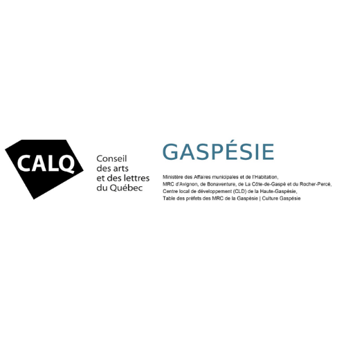 Des artistes et organismes ont récemment été sélectionnés pour recevoir une aide financière totale de 316 000 $ dans le cadre du Programme de partenariat territorial de la Gaspésie, dont deux artistes soutenues par le Centre de Création Diffusion de Gaspé, Karine LeBlanc et Marie-Ève Trudel Vibert.